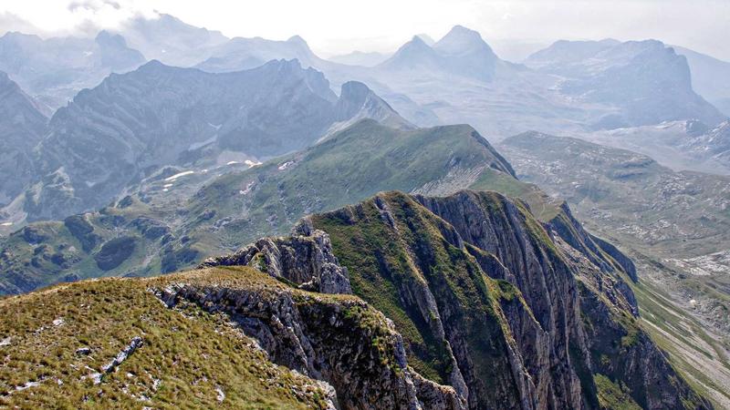 Vàng Có Phải Là 'Vua' Năm 2026? Phân Tích Các Kênh Đầu Tư Tiềm Năng